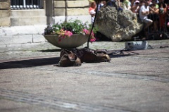 Franciscopolis J 2  143 * 5616 x 3744 * (6.69MB)